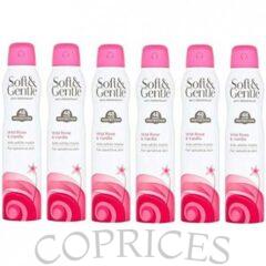 SOFT & GENTLE Wild Rose And Vanilla Anti-Perspirant Deodorant Spray 250ml X 6