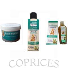 El Glittas Hair Wonder Moisturize Repair + Shampoo & Oil